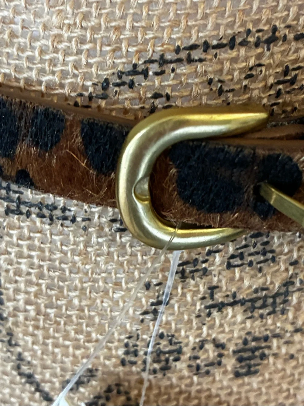 GAP Leopard Print Women's skinny belt Fall animal print calf hair gold buckle S